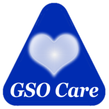 GSO Care Aged Care Software - Innovative, Exceptional and Seminal.